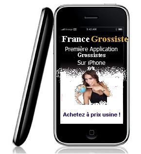 logoiphone francegrossiste 2